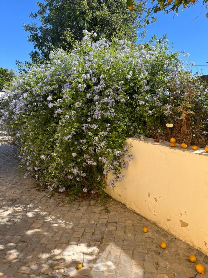 オリョン Quinta Da Laylaヴィラ エクステリア 写真