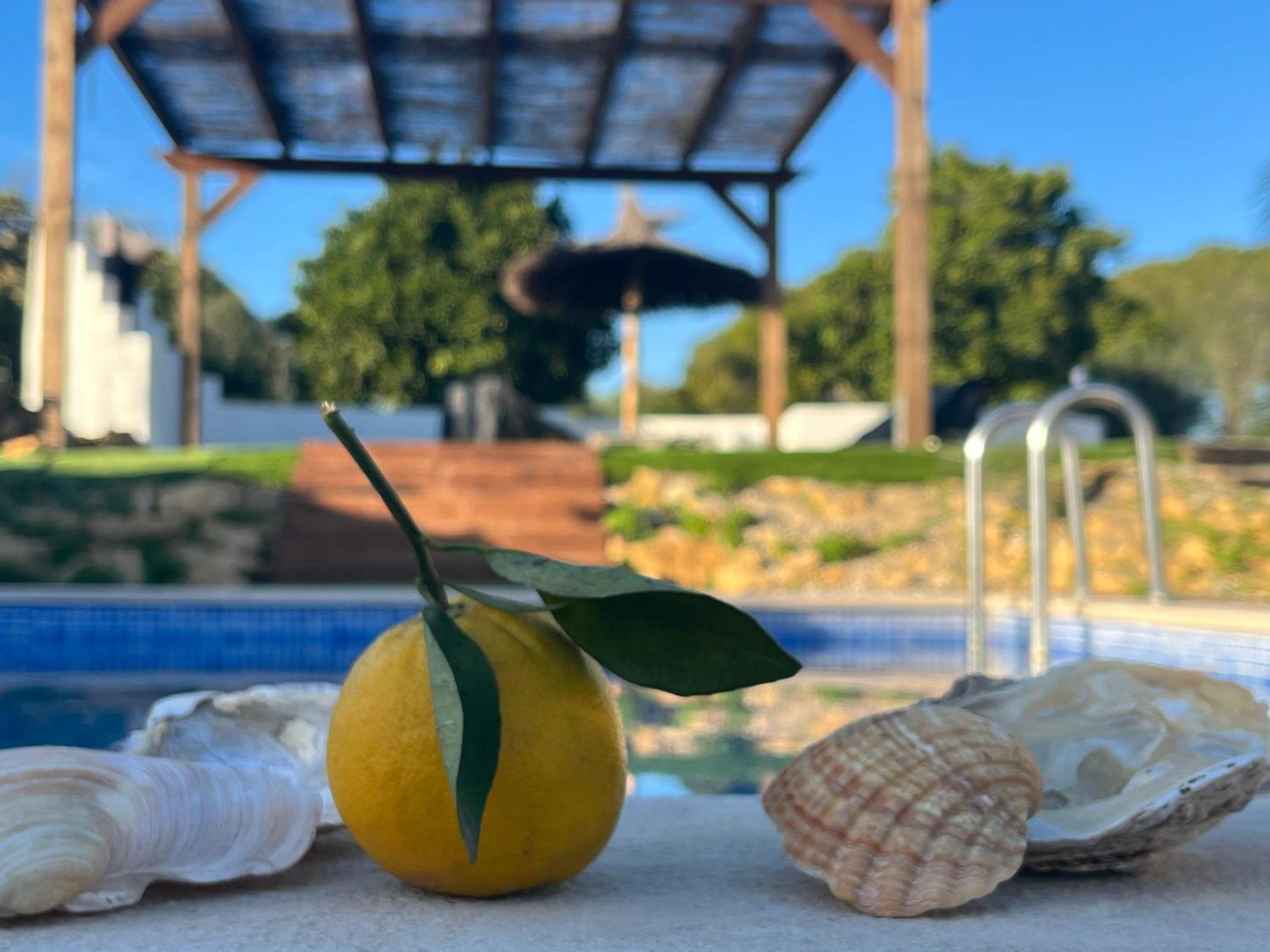 オリョン Quinta Da Laylaヴィラ エクステリア 写真
